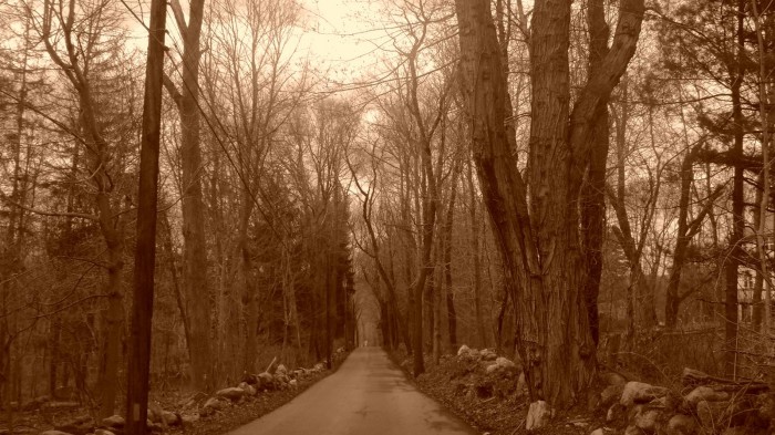 ghost in the road.jpg (318 KB)